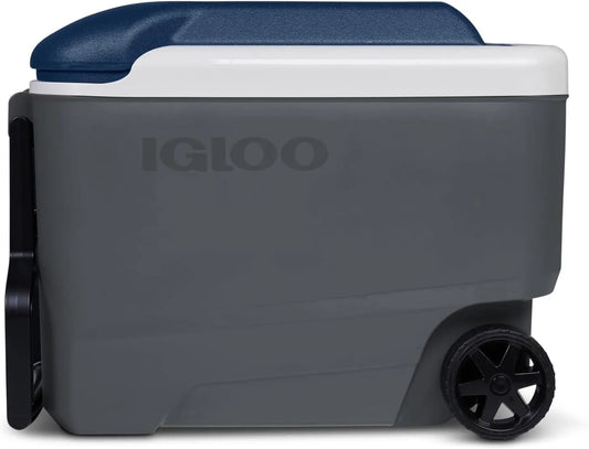 Prodotto per casa e tempo libero Igloo - per un utilizzo pratico nella vita quotidiana